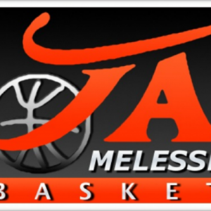 Melesse JA